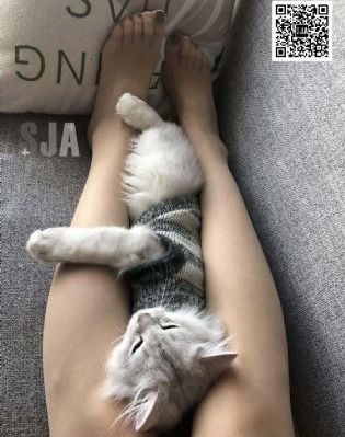 国产欧美整片乱伦黄色片_BD韩语完整在线观看
